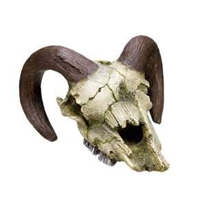Akvariedekoration - Ram Skull