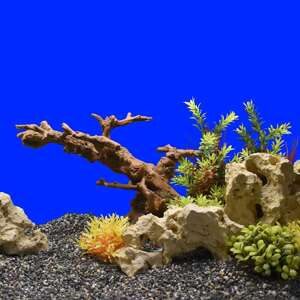 Akvariedekoration - Root