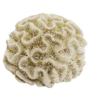 Akvariedekoration  CORAL