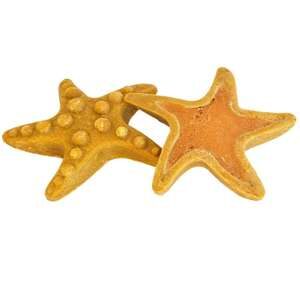 Display StarSnack Chicken Starfish
