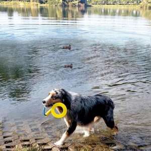 TPR Ring med ræb og håndtag, Floating
