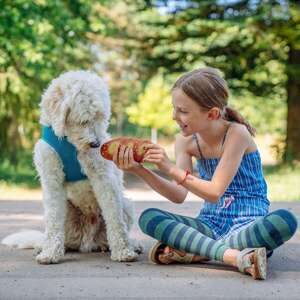 Latex Brød, Display 14  stk