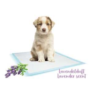 Tisseunderlag med lavendel, L, 10 stk.