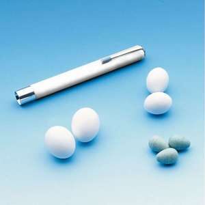 Redeæg for store parakitter