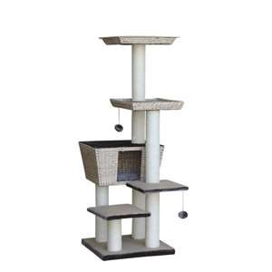 Motega kradsetræ, 48 x 48 x 141 cm