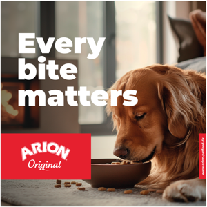 Arion Original Brochure Hund DK