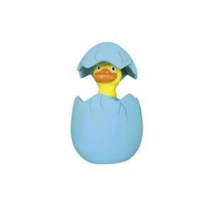 Display 20  stk. - Latex: Egg-Press me