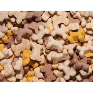 StarSnack Cookies Puppy, Karton - 10 kg