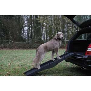 Hunderampe, sort 152x40 cm