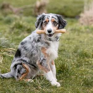 Råhud ben presset, 2 stk. (Thailand)