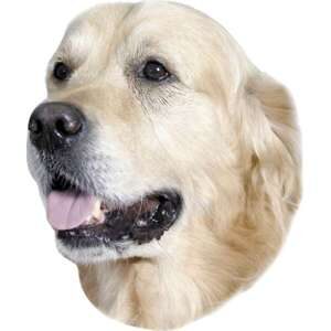 Sticker Golden Retriever