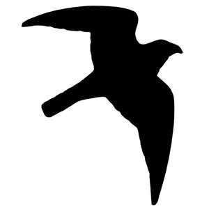 Sticker bird of prey