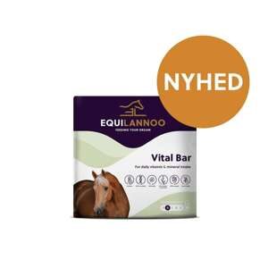 EQL Vital Bar XXL 13 kg