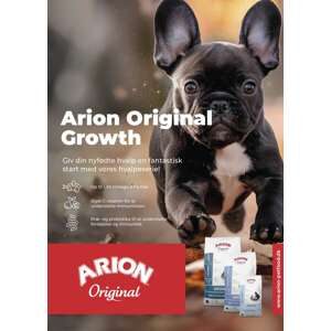 ARION Plakat 50*70 cm Hvalp