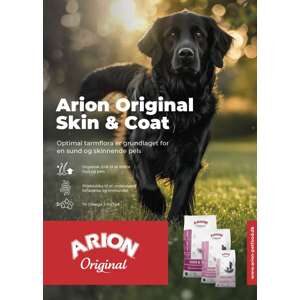 ARION Plakat 50x70 cm Skin & Coat